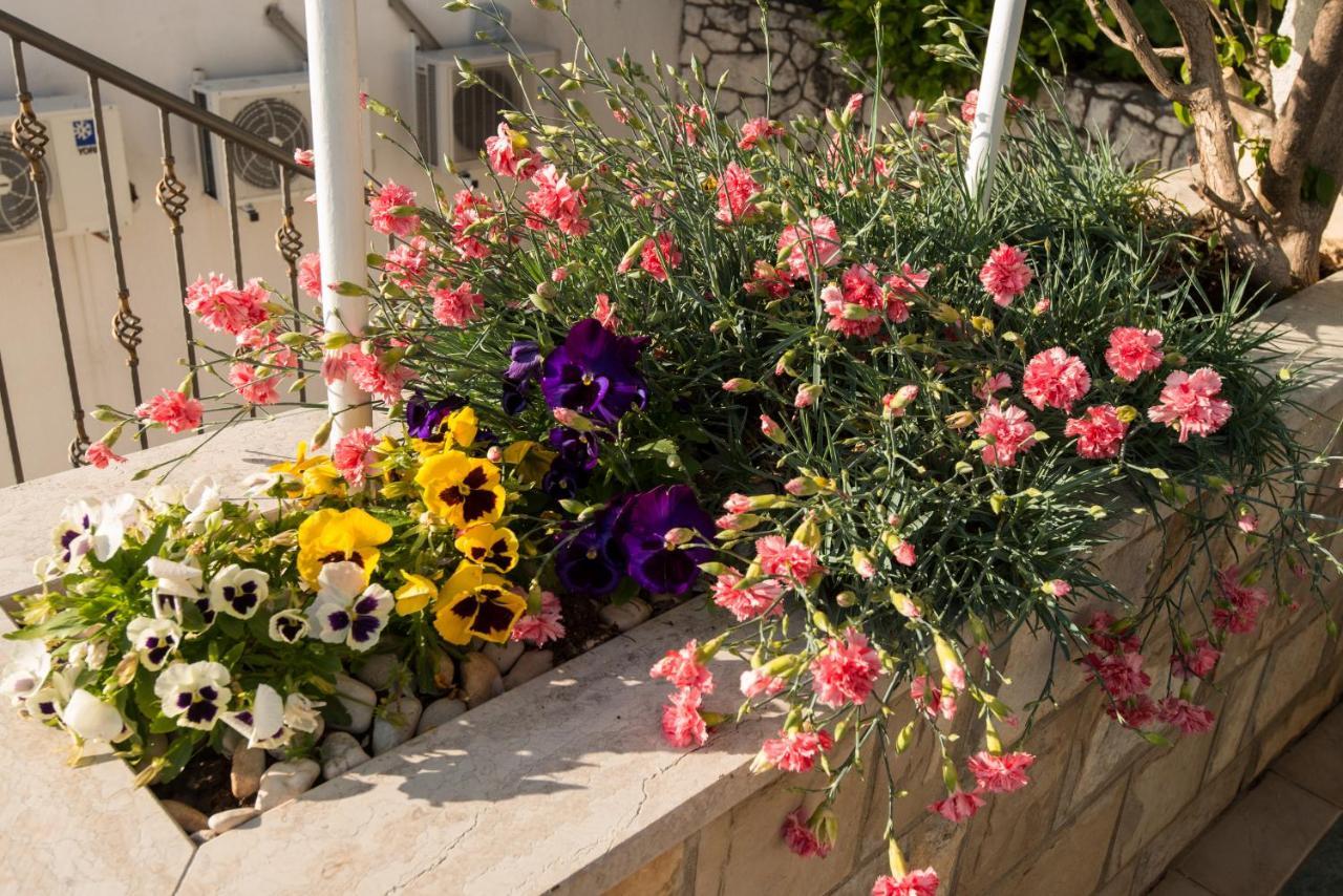 Apartments Tamaris Neum Εξωτερικό φωτογραφία